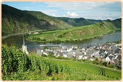 Mosel